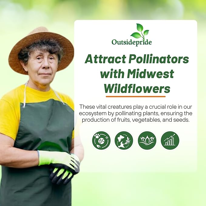 Outsidepride Midwest Wildflower Seed Mix - 1 Lb. Premium Blend of Annual & Perennial Native Wildflower Seeds for Midwestern States, Attracts Pollinators, Low-Maintenance, Ideal for Meadows & Gardens
