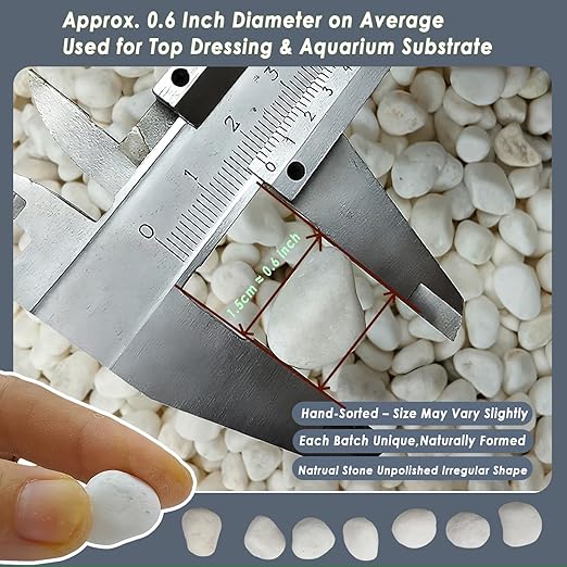 15LB White Gravel for Succulents and Cactus, 0.6 Inch Natural Unpolished Crushed River Rocks for Plants, Vases, Aquariums, Terrariums, Planters, Outdoor Gardening & Landscaping Decorative Stones