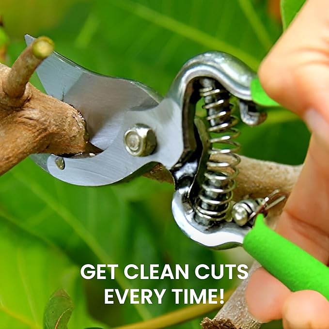 GARDEN GURU Classic Bypass Pruning Shears Clippers – Heavy Duty Forged Steel Pruners – Non Slip Comfort Grips – Cuts up to 1” Diameter – Professional Bypass Pruners for Gardening - 1 Case (60 Pcs)