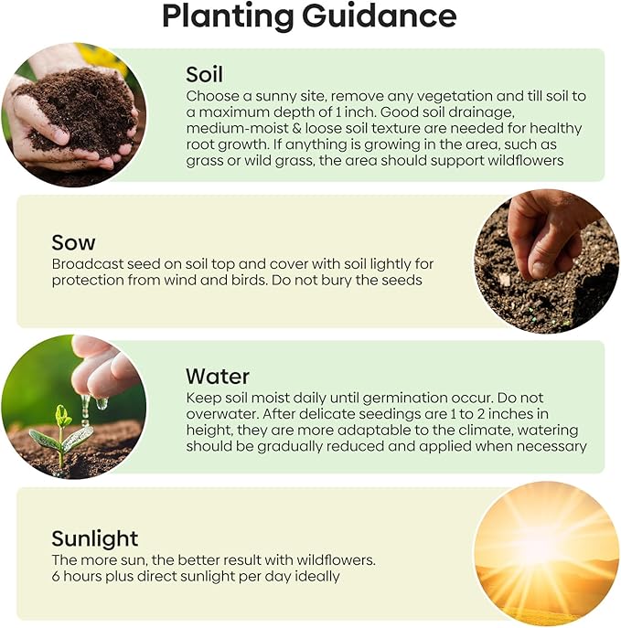 Wildflower Seeds Mix, 2 Oz, 50,000+, 28 Varieties Flowers Seeds for Planting, Annual Perennial Garden Seeds to Attract Bees, Butterflies & Birds