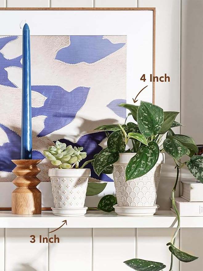 LE TAUCI 3 Inch Mini Succulent Pots - Very Small Ceramic Planter with Saucer, Tiny Embossed Flower Pots for Lithops, Mini Cactus, Air Plants, Fairy Gardens - Indoor Home Decor, Set of 4, Arctic White