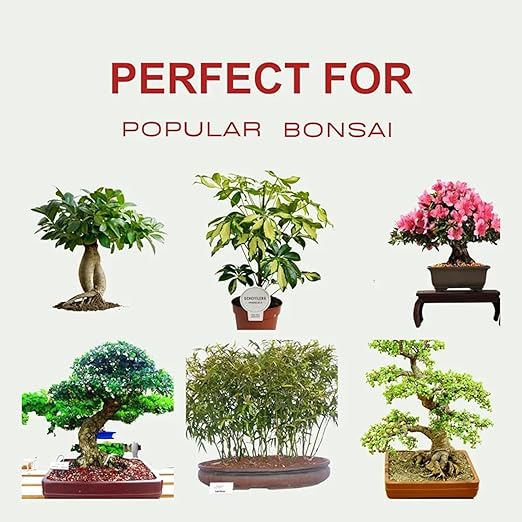 500 Grams Organic Bonsai Fertilizer - NPK Slow Release Pellets, Bonsai Food, Ready to Use Macro & Micro Nutrients Ideal for All Indoor and Outdoor Bonsai Tree Plants in Pots