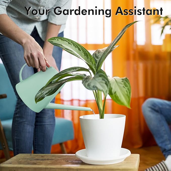 Watering Can for Indoor Outdoor Plants, Modern Small Watering Cans with Removable Nozzle, Long Spout Watering Can for Indoor Bonsai Plants Garden Flowers 1/2 Gallon 1.8L 60OZ (Green)