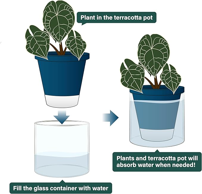 D'vine Dev 6 Inch Design Self Watering Planter for Indoor Plants, Blue Terracotta Pot with Cylinder Glass Cup, Set of 2, 37-Y-B-4