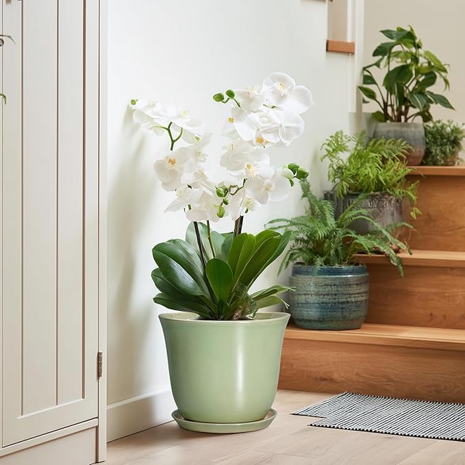 Ceramic Pots for Plants - 10 Inch Planter with Drainage Hole and Tray, Round Large Planter for Indoor Plant Outdoor, Modern Flower Pot, Garden Office Home Decor, Gift for Plant Lover, Green