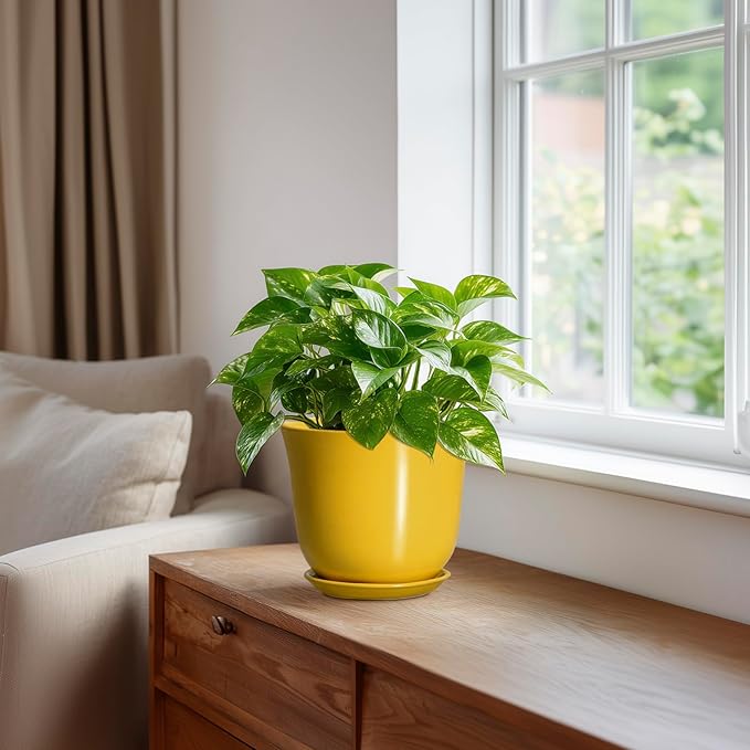 Ceramic Plant Pots - 5.6 Inch Planter with Drainage Hole and Saucer, Round Small Plant Pot for Indoor Outdoor, Modern Flower Succulent Orchid Pot, Desk Decor, Plant Lover Gifts, Yellow