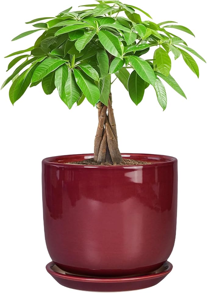 Ceramic Planter for Plants - Round Modern 7 Inch Plant Pot Indoor with Drainage Hole and Saucer, Home Patio Office Apartment Decor, Red