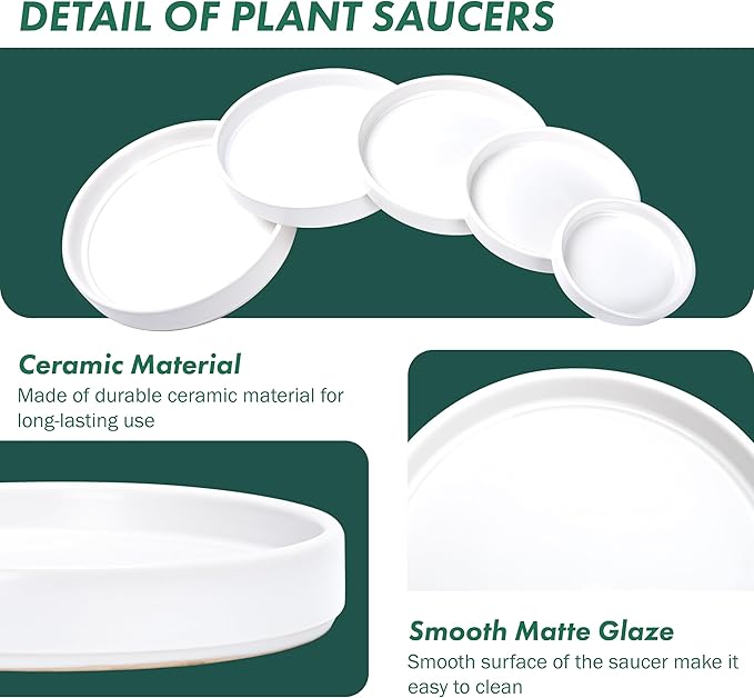 D'vine Dev Modern Round 8.7 Inch Ceramic Plant Pot Saucer, Planter Pot Drainage Tray for Indoor Plants, Matte White, 97-T-A-4