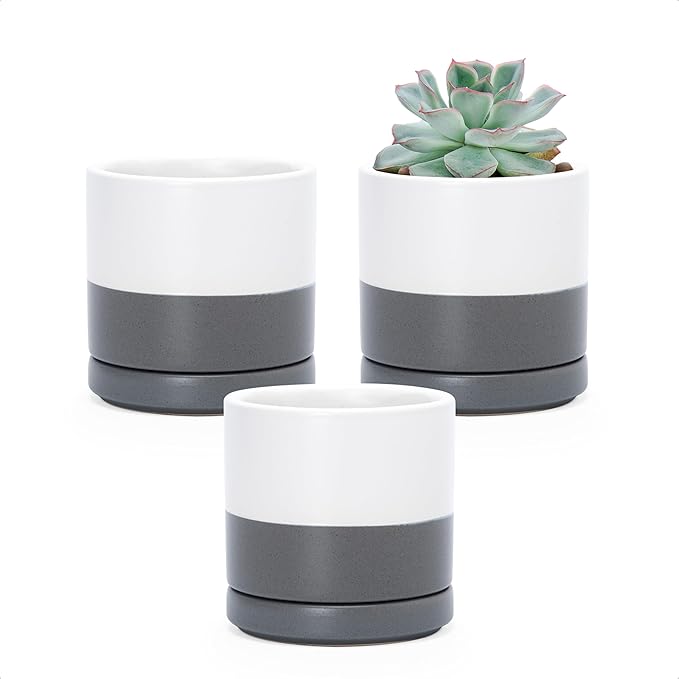 D'vine Dev Set of 3 Plants Pots, 3.5 Inch Ceramic Planter Pot for Plants with Drainage Hole and Saucer, White/Speckled Grey, 94-N-A-6