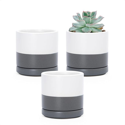 D'vine Dev Set of 3 Plants Pots, 3.5 Inch Ceramic Planter Pot for Plants with Drainage Hole and Saucer, White/Speckled Grey, 94-N-A-6