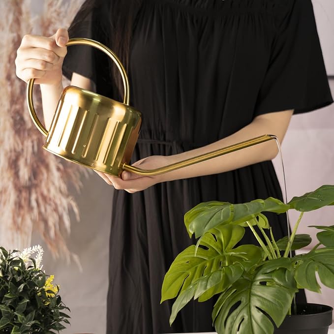 34oz/1L Stainless Steel Watering Can, Rust-Proof Indoor/Outdoor Watering Can for House Plants, Long Spout Water Can for Succulent Bonsai Garden Flowers (Gold Color)
