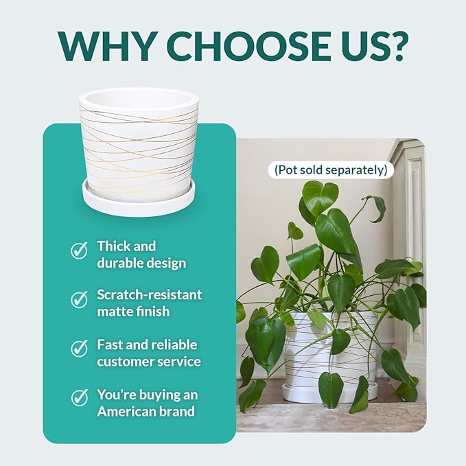 Willowy Heavy Duty Ceramic Small Plant Tray in Matte White - Pack of 4 - Scratch-Resistant Shallow Saucer or Pots 4.25" at the Base or Less, Plant Trays for Plants, 2-4 Inch Saucer for Plants