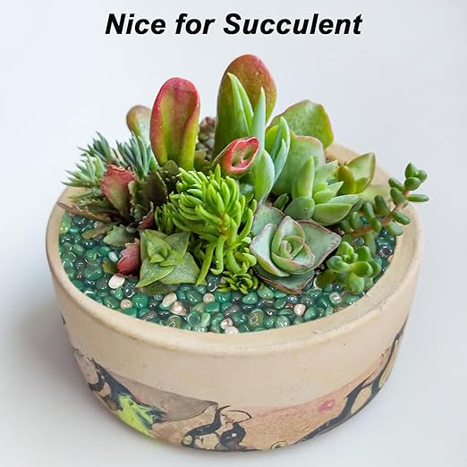 Rocks for Plants Indoor,Landscaping Pebbles, River Rocks Decorative Ornamental Pebbles Garden Landscaping Stones, DIY Smoothed Rocks for Potted Plant Resin Art Vase Fillers Aquarium Gravel Rocks