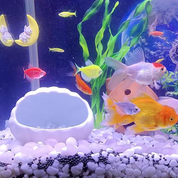 5 lbs White Pebbles for Indoor Plants, 0.5-1 Inch Pea Gravel Stones for Planters, Decorative River Rocks for Succulent, Cactus, Vases, Aquariums, Crafting and Garden Landscaping