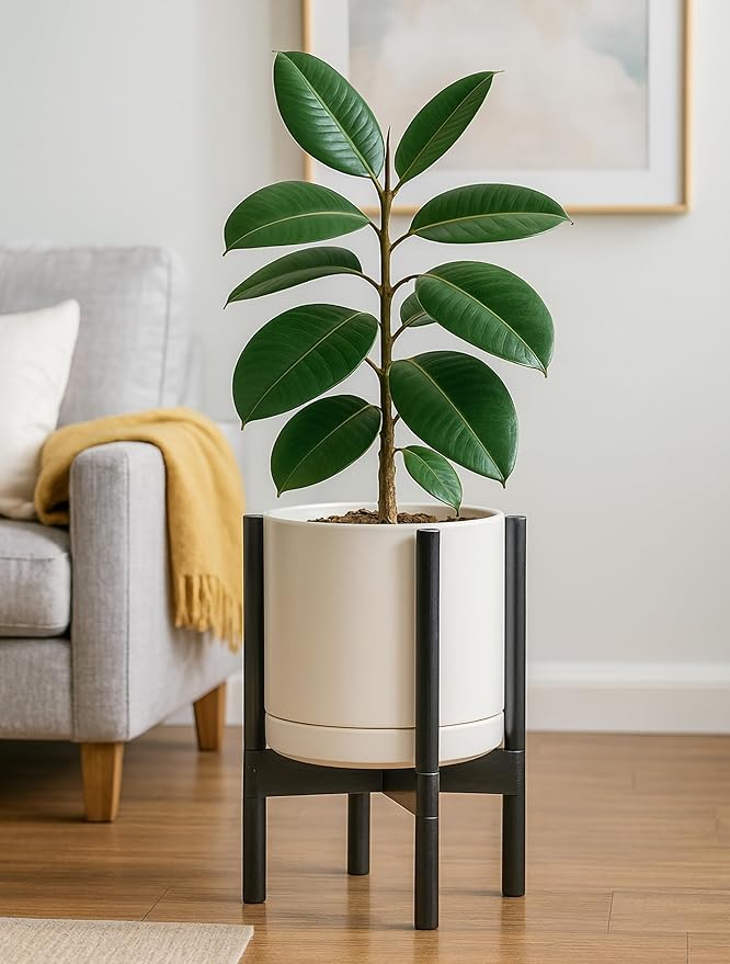 D'vine Dev Ceramic Planter with Ebony Stand - 10 Inch Modern Round Flower Pot with Wood Planter Holder, Oatmeal, 55-B-L-8