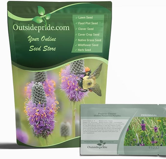 Outsidepride Purple Prairie Clover Seeds - 1/4 lb. Perennial Seeds for Planting, Easy to Grow, Drought & Heat Tolerant, High Protein Forage for Livestock, Ideal for Meadow Gardens, & Xeriscaping