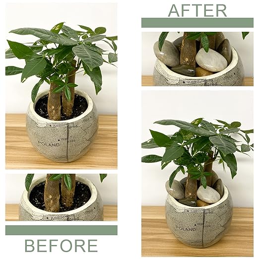 2 lbs Pebbles for Plants, 1-2 inch Polished River Rocks for Plants Indoor Aquarium Terrarium, Stones for Planters Vase Landscaping and Outdoor Yard Decorative Stones