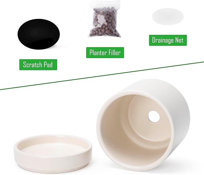 D'vine Dev Set of 4 Small Ceramic Plant Pots, 4.6 Inch Succulent Planter Pot for Plants with Drainage Hole and Saucer, Oatmeal, 94-X-B-8