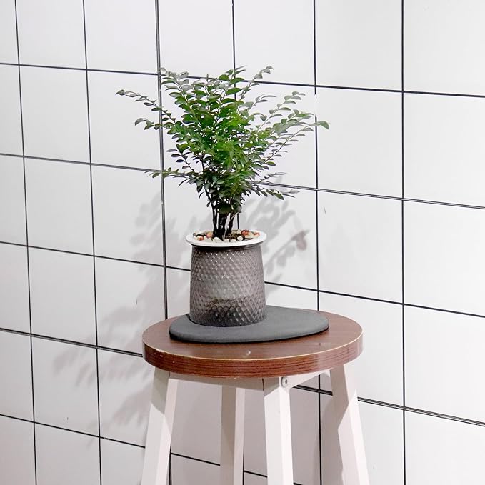 Elfcool Quick Dry Absorbent Flower Pot Saucer Dirp Tray Diatomaceous Earth Plant Mat for Indoor Outdoor Plants (8''&12''-Dark Grey-2pack)