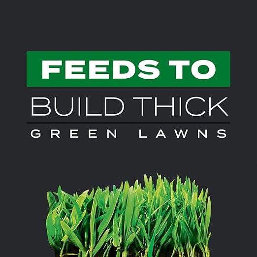 Scotts Turf Builder Triple Action1 - Weed Killer, Crabgrass Preventer, Lawn Fertilizer, 12,000 sq. ft. (2-Pack)