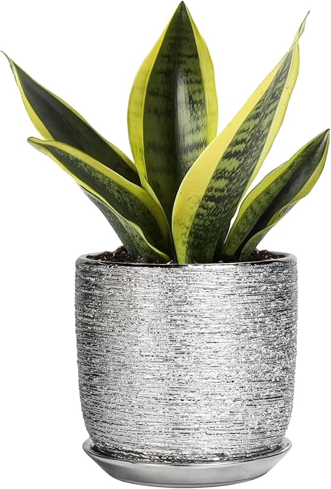 Ceramic Plant Pot 5 Inch - Indoor Planter with Drainage Hole and Saucer, Round Modern Flower Pot for Succulent Plants, Housewarming Gifts, Office Home Desk Decor, Silver