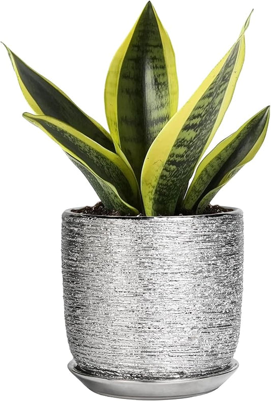 Ceramic Plant Pot 5 Inch - Indoor Planter with Drainage Hole and Saucer, Round Modern Flower Pot for Succulent Plants, Housewarming Gifts, Office Home Desk Decor, Silver