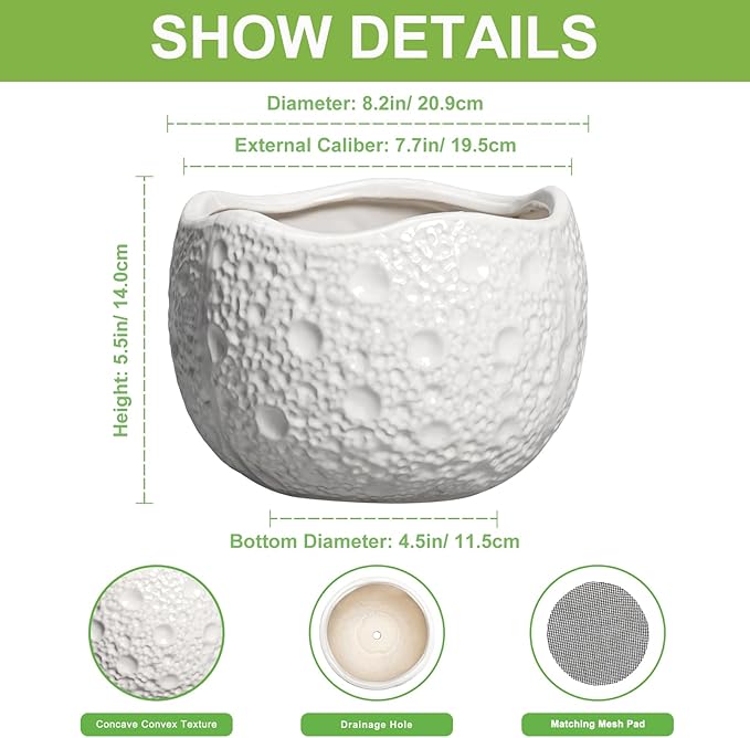 Ceramic Plant Pot - 8 Inch Round Planter with Drainage Hole, Decorative Plant Pots for Indoor Outdoor Plants, Modern Unique Flower Pots, House Living Room Decor, Housewarming Gifts, White