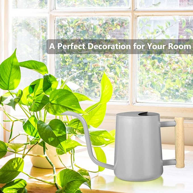 Watering Can Indoor Plants, 35oz Small Indoor Stainless Steel Metal Watering Can Modern Decorative Watering Pot with Long Spout for Indoor House Plant Bonsai Garden Flowers (Gray)