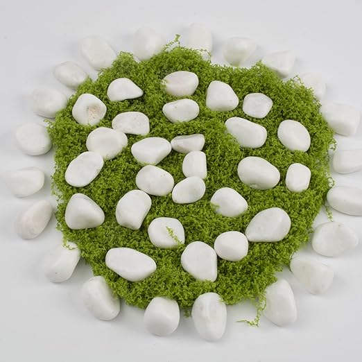10 lbs White Polished Decorative Stones, 0.5-1 Inch Landscape Rocks for Indoor Plants, Garden, Outdoor Pathways, Vase Fillers, Pots, Glass Containers, and Craft Pro (Pure White, Weight: 10 LB)