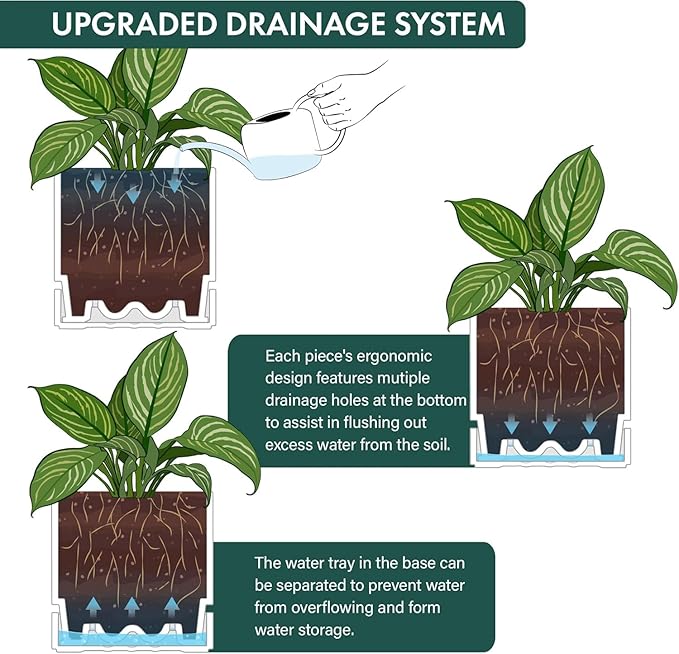 Phoenix Vine 8 Inch Planter Pot with Drainage Hole & Saucer, Deep Water Catch Tray, Straight Cylindrical Round Pot for Plants, Matte White, Pack of 2, 23-B-T-2