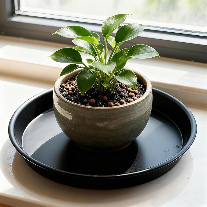3 Pack Plant Saucer Heavy Duty Sturdy Drip Trays for Indoor and Outdoor (12 Inch, Black)