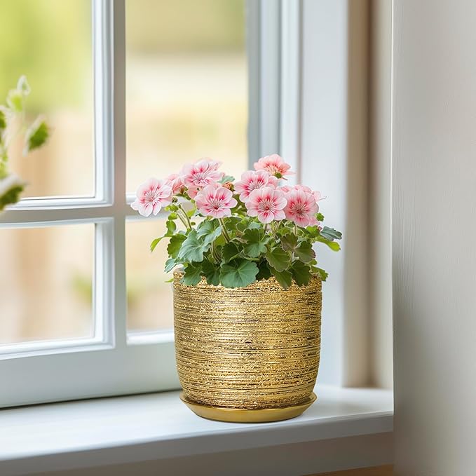 Succulent Pot 5 Inch - Ceramic Plant Pot for Indoor Flowers, Decorative Round Indoor Planter with Drainage Hole and Saucer, Plant Lover Gifts, Patio Office Home Room Decor, Gold