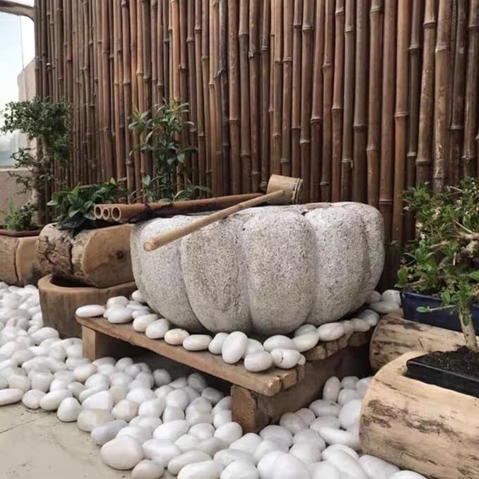 40 Pounds Large White River Rocks for Outdoor Landscaping, 2-3 Inch Natural White Stones for Planters, Polished Decorative Pebbles for Indoor Plants Vase, Aquarium and Garden Rocks