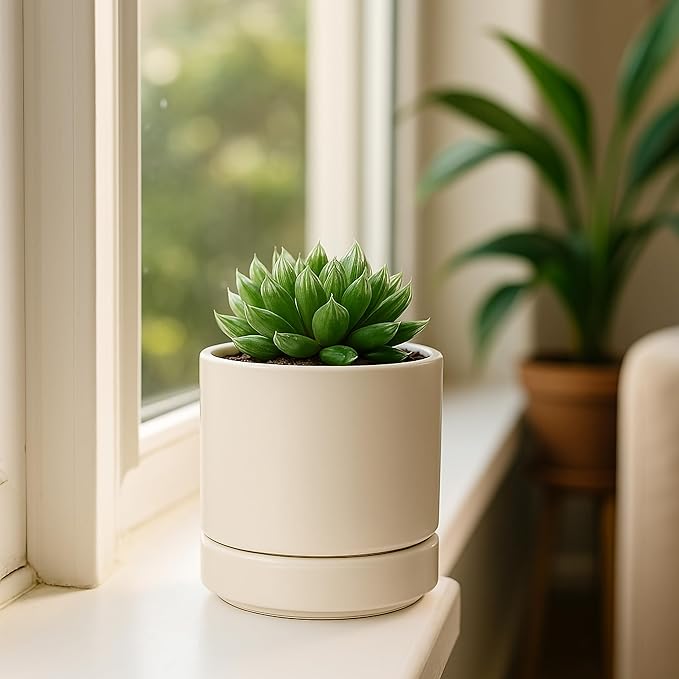 D'vine Dev Set of 4 Small Ceramic Plant Pots, 4.6 Inch Succulent Planter Pot for Plants with Drainage Hole and Saucer, Oatmeal, 94-X-B-8