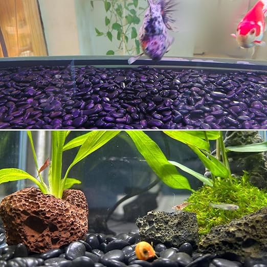 Polished Black River Rocks - 2-3 inch 20LB High Polished Decorative Pebbles, Stones for Landscaping, Natural River Rocks for Outdoor Décor, Plants,Vase Filler,Fish Tank