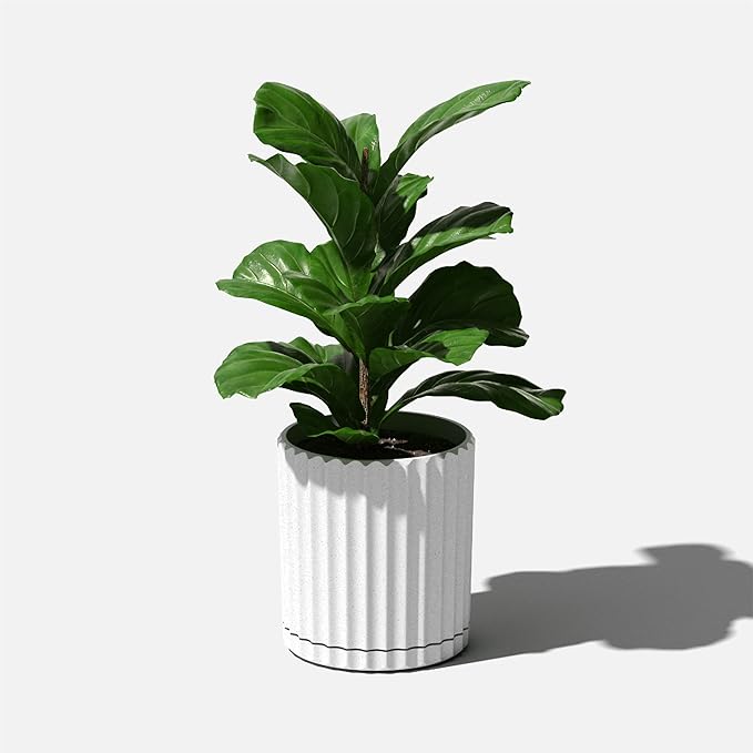 Veradek Demi Series Demi 6" Planter w/Tray, White