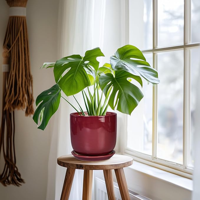 Ceramic Planter for Plants - Round Modern 7 Inch Plant Pot Indoor with Drainage Hole and Saucer, Home Patio Office Apartment Decor, Red