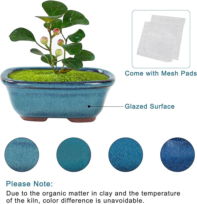 Bonsai Planter Succulent Mini Glazed Pots Value Set of 4, with 4 Soft Mesh Drainage Screens