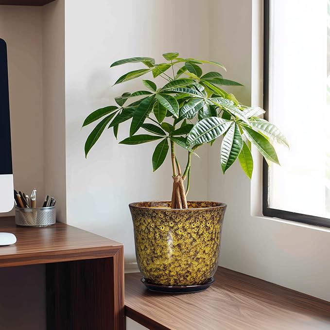 Ceramic Planter - 8 Inch Plant Pot for Indoor Outdoor, Round Flower Pots with Drainage Hole and Saucer, Modern Planter, Decorative Plant Pots, Home Office Decor, Gardening Gifts, Yellow