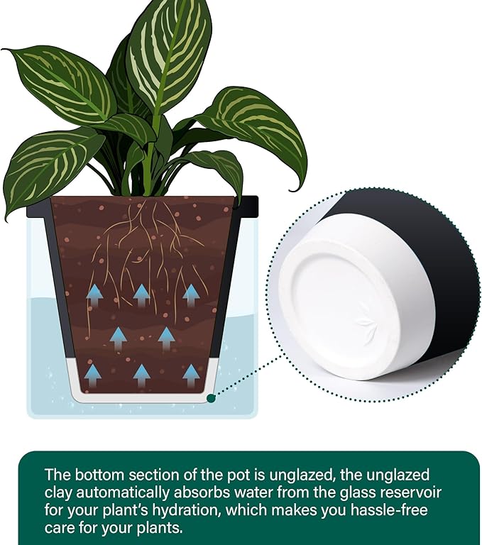D'vine Dev 10 Inch Design Self Watering Planter for Indoor Plants, Black Terracotta Pot with Cylinder Glass Cup, 37-X-D-3