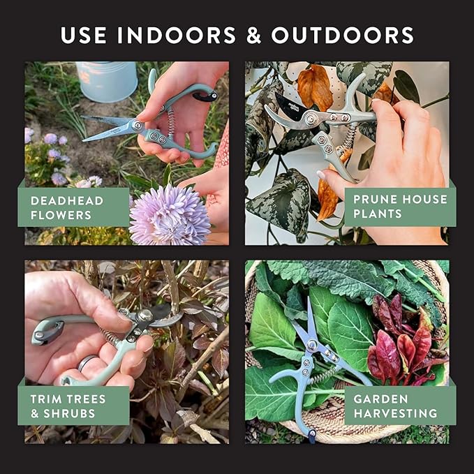 Modern Sprout Hand Pruners & Shears Set with Blister Pack - Lightweight Gardening Tools with Easy Lock - Sharp Carbon Steel Blades -Rust Resistant Scissors for Herbs, Flowers - Chartreuse