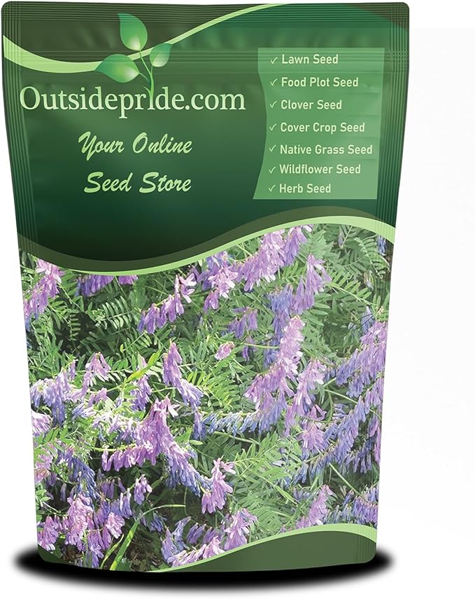 Outsidepride Hairy Vetch Cover Crop Seeds - 10 Lbs Cold Tolerant, Winter Hardy - Ideal for Soil Improvement, Green Pasture, Hay & Livestock Forage - Pollinator Friendly Garden Seeds, Ground Cover