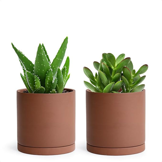 D'vine Dev 5 Inch Rust Terracotta Plant Pot with Drainage Hole and Saucer, Round Cylinder Planter Pot for Indoor Plants, Set of 2, 40-V-B-2