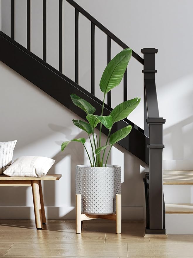 LE TAUCI Ceramic Plant Pots Indoor, 10+8+6 Inch Planters for Indoor Plants, Raised Dots Flower Pots with Drainage Hole and Plug, Cylinder Round Planters, Set of 3, Glaze Star Gray