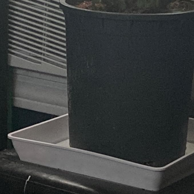 JOIKIT 15 PCS 11.4 x 11.4 Inch Square Plant Saucer, Plastic Plant Saucer Drip Tray, Square Flower Pot Tray for Indoors and Outdoor Plant Pots, 1.6 Inch Deep, White