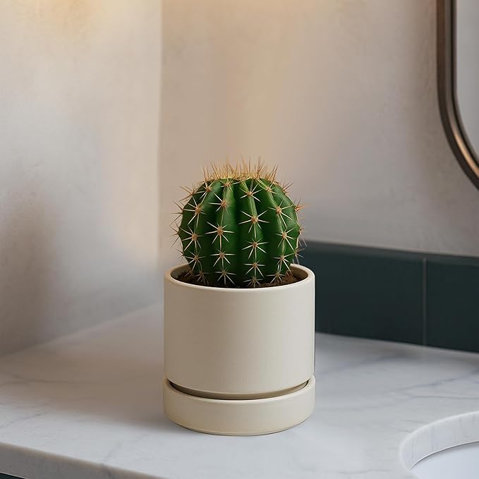 Phoenix Vine 4 Inch Planter Pot with Drainage Hole & Saucer, Deep Water Catch Tray, Straight Cylindrical Round Pot for Plants, Oatmeal, Pack of 6, 23-E-R-6