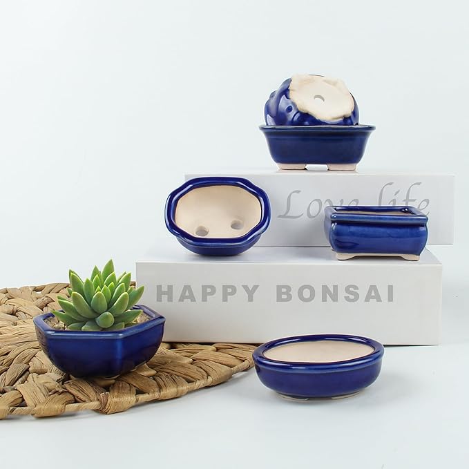 Bonsai Planter 6 pc Mini Glazed Succulent Pots Value Set + 6 Soft Mesh Drainage Screens