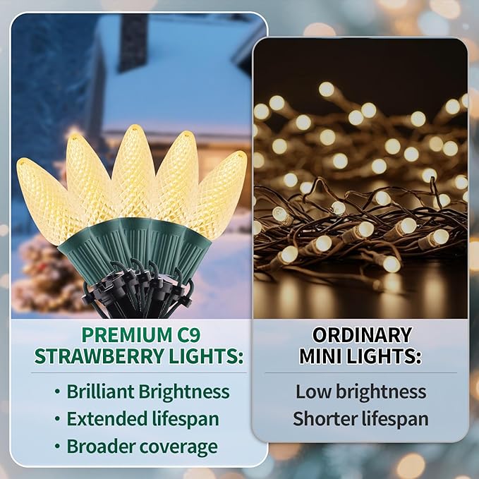C9 Strawberry Christmas Pathway Lights Outdoor, 20 LED Warm White Outdoor Christmas String Lights with Stakes, 25.7FT Holiday Decorations for Indoor, Outside,Roofline, Backyard, Xmas Decor