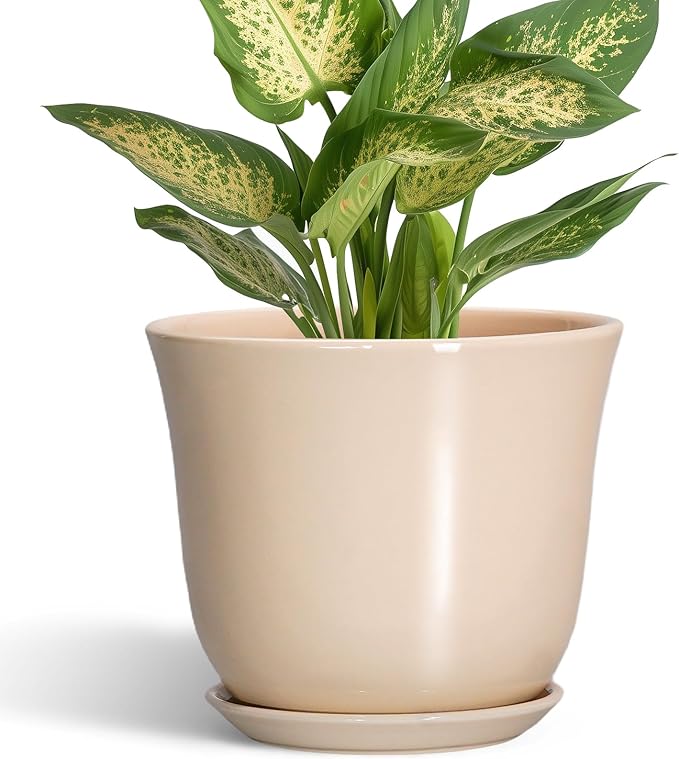 Ceramic Pots for Plants - 5.6 Inch Plant Pot with Drainage Hole and Saucer, Round Orchid Succulent Pots for Indoor Outdoor, Modern Small Planter, Home Office Decor, Gifts for Women, Beige