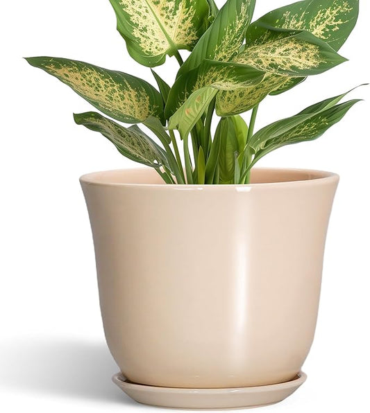 Ceramic Pots for Plants - 5.6 Inch Plant Pot with Drainage Hole and Saucer, Round Orchid Succulent Pots for Indoor Outdoor, Modern Small Planter, Home Office Decor, Gifts for Women, Beige